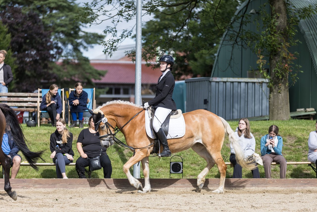 Bild 233 - Pony Akademie Turnier